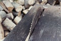 Close up of table circular saw blade in the garden with trees in background. Woodwork, Work hazards at home. Detail view