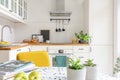 Table with fruit, plants and magazines in a bright kitchen interior. Cupboards in the background. Real photo