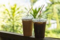 Close up of take away plastic cup of iced black coffee Americano and Iced milk tea on wooden bar with green nature in garden Royalty Free Stock Photo