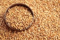 Natural,ripe wheat grains in the bamboo bowl on grains background