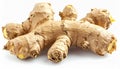 Close Up of a Tan Ginger Root on a White Background Royalty Free Stock Photo