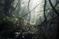 close-up of tangle of vines in smoky jungle Royalty Free Stock Photo