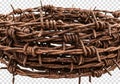 Close up of a tangled ball of rusty barbed wire Royalty Free Stock Photo