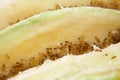 Close-up tapinoma sessile, odorous house ant, sugar ant, stink ant eat avocado Royalty Free Stock Photo