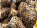 Close up of taro or gabi rootcrops Royalty Free Stock Photo