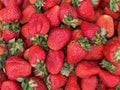 Close up tasty fresh strawberries view from the top Royalty Free Stock Photo