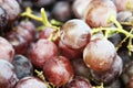 Close Up Tasty Fruit Grapes/grape
