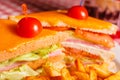 Close up Tasty grilled sandwich in the restaurant. Club sandwich with ham, tomato, cheese and lettuce. Served with Royalty Free Stock Photo