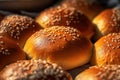 Close-up of tasty healthy artisan multigrain bread rolls Royalty Free Stock Photo