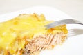 Close up tasty salmon and cheese Royalty Free Stock Photo