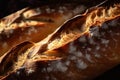 & x22;Close-up of tasty slices of healthy artisan French baguette bread loaf Royalty Free Stock Photo