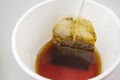 Tea bag in paper cup and hot water Royalty Free Stock Photo