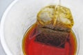 Tea bag in paper cup and hot water Royalty Free Stock Photo