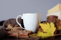 Close up of tea cup on desk with autumn decoration Royalty Free Stock Photo