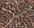 Close up, tea texture. Royalty Free Stock Photo