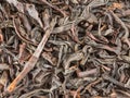 Close up, tea texture. Royalty Free Stock Photo