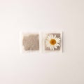 Close up of tea time. Dry camomile tea in the tea bag, minimal concept. Royalty Free Stock Photo