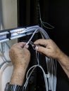 Technician hands installing network cables in server rack Royalty Free Stock Photo