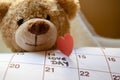 Close up of teddy bear holding callendar and paper red heart marking love day 14 february