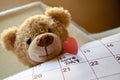 Close up of teddy bear holding callendar and paper red heart marking love day 14 february