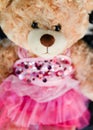 Close up of a teddy bear wearing a pink dress quinceanera/sweet 16