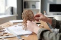 Teenagers assembling mechanical 3D wooden puzzle for STEM learning concept Royalty Free Stock Photo