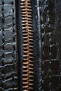 Close-up of the teeth of a zipper, metallic details in an unexpected way