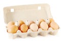 Close up of ten brown eggs in cardboard container Royalty Free Stock Photo