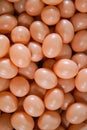 A close up of ten chicken eggs Royalty Free Stock Photo