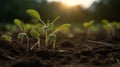 Close up of a tender first soybean sprout in an open. Generative AI