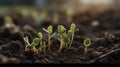 Close up of a tender first soybean sprout in an open. Generative AI