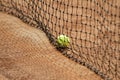 Close up tennis ball and net on court. Close up of tennis ball on clay court. Red clay court Royalty Free Stock Photo