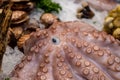 A close up of the tentacles and eye of an octopus, at a fishmongers Royalty Free Stock Photo