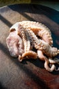 Close-up of tentacles of a fresh raw octopus on a cutting board Royalty Free Stock Photo