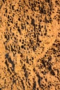 Close up of Termite mound Royalty Free Stock Photo