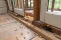 Termite infestation in timber framing, house renovation needed Royalty Free Stock Photo