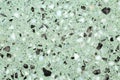 Close up of terrazzo flooring background texture with green base and marble and stone chips