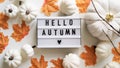 Close-up text board with Hello Autumn lettering, pumpkins, orange maple leaves, twigs on white background, top view, flat lay. The Royalty Free Stock Photo