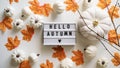 Close-up text board with Hello Autumn lettering, pumpkins, orange maple leaves, twigs on white background, top view, flat lay. The Royalty Free Stock Photo