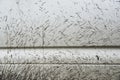 Close-up texture background splashes of mud on a white car Royalty Free Stock Photo