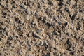 Close up texture of background wallpaper top view of grey grain asphalt Royalty Free Stock Photo