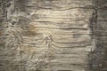 Close up texture of bark wood use as natural background Royalty Free Stock Photo