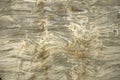 Close up texture of bark wood use as natural background Royalty Free Stock Photo