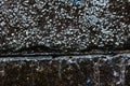 Close-up texture of a black decorative scratched brick with a gap Royalty Free Stock Photo