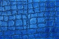 Close up texture of blue alligator skin. Crocodile background