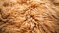 Close up Texture of Brown Animal Fur Abstract Background for Creative Design Projects and Natural Patterns Royalty Free Stock Photo