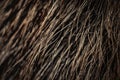Close Up Texture Of Brown And Black German Shepherd Fur