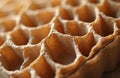 Close-up texture of brown honeycomb cardboard. This material represents eco-packaging solutions and sustainable practices. It is Royalty Free Stock Photo