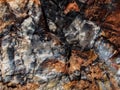 Texture of a Dark, Orange and Black Petrified Wood