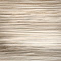 Close up texture of dried palm leaf Royalty Free Stock Photo